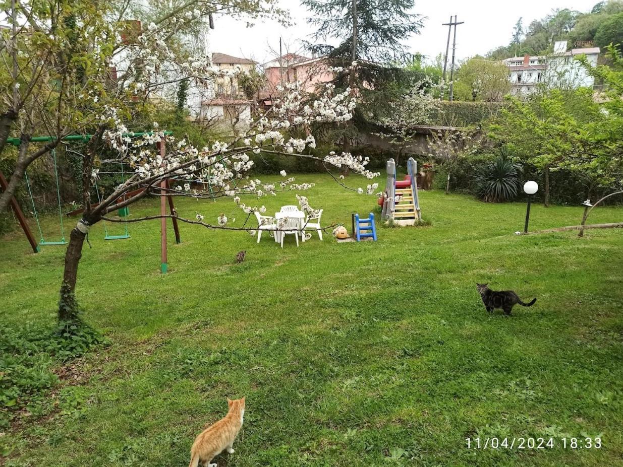 King Hotel Fiuggi Bagian luar foto